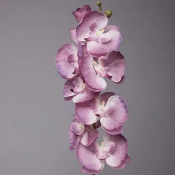 8 Heads Kunstlik Butterfly Orchid Võlts 3D Phalaenopsis Lille Simulatsiooni Lill Reaalne Touch Taimed Pulm Kodu Jõulud Decor
